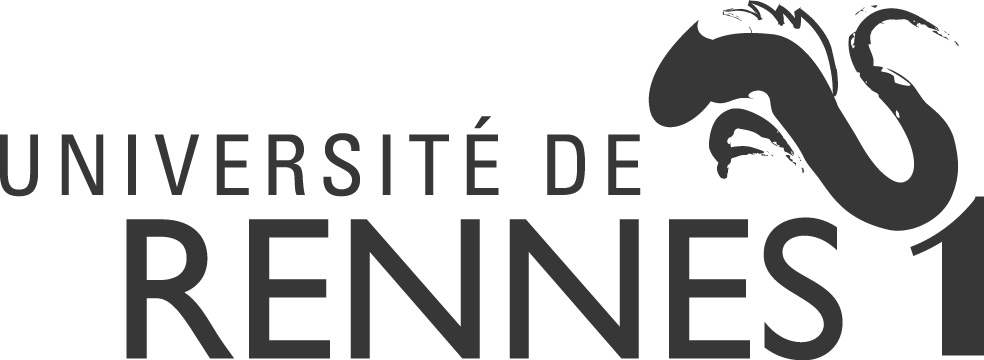 Logo:
              Univiersity of Rennes 1