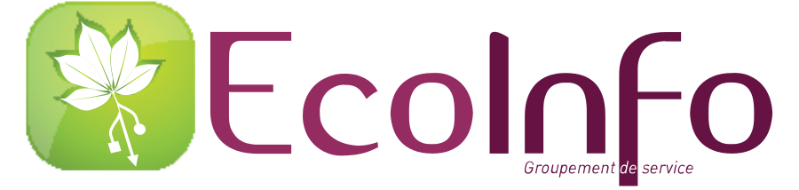 Logo EcoInfo